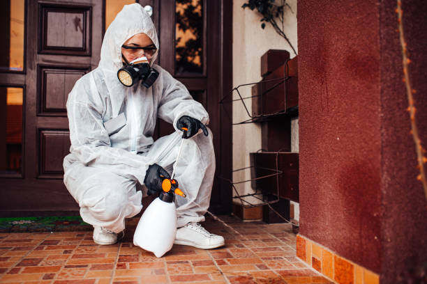 Reliable Cockroach Control contractor in Hyde Park, UT by Nex Pest Control