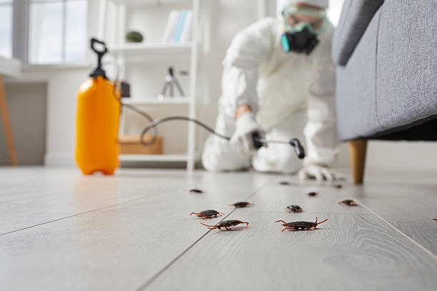 Trusted Cockroach Control service in Hyde Park, UT - Nex Pest Control